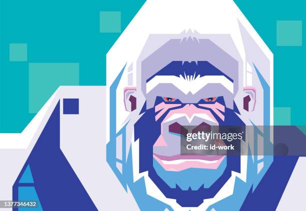 white gorilla head - yeti stock illustrations