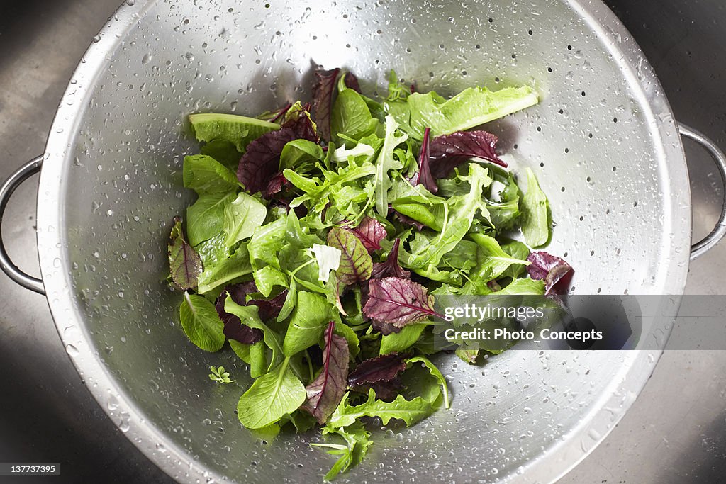 Ensalada de lavado en el tamiz