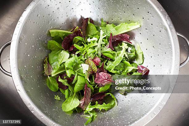 washed salad in sieve - lettuce leaf stock pictures, royalty-free photos & images