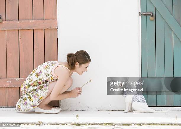 young woman with cat - crouching cat stock-fotos und bilder