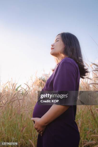 pregnant woman holding her belly while relaxing in outdoors garden. - maternity wear 個照片及圖片檔