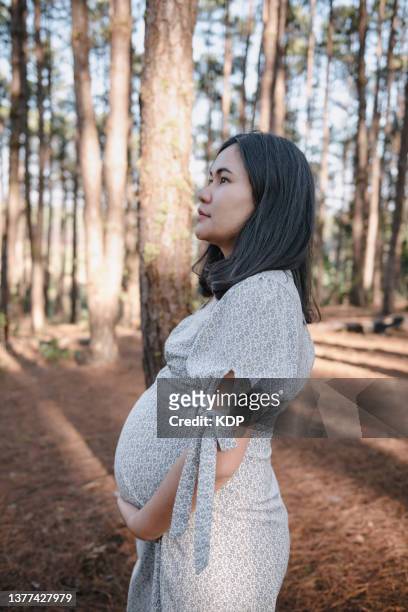 pregnant woman holding her belly while relaxing in outdoors nature park. - maternity wear stock pictures, royalty-free photos & images