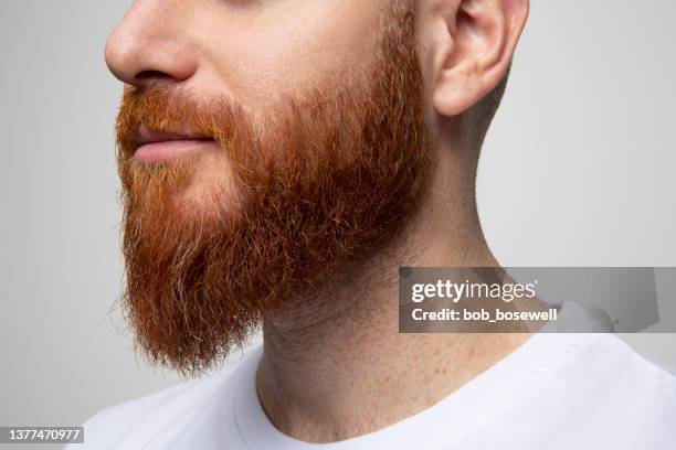 side view close up portrait of handsome bearded man - red beard stock pictures, royalty-free photos & images