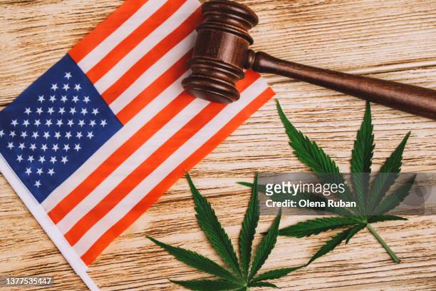 green fresh cannabis leaf lying near usa flag and judge's gavel - legalisering bildbanksfoton och bilder