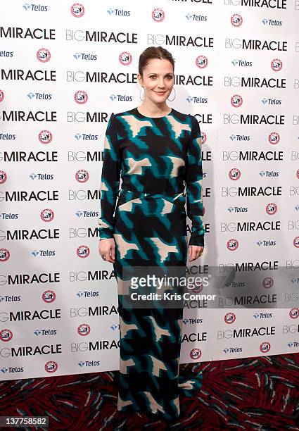 Drew Barrymore poses on the red carpet during the "Big Miracle" premiere at AMC Loews Georgetown 14 on January 25, 2012 in Washington, DC.