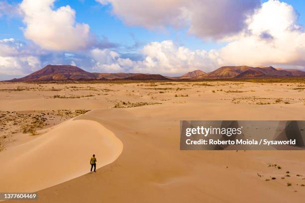 hiker walking on a desert sand dune at dawn - fuerteventura fotografías e imágenes de stock