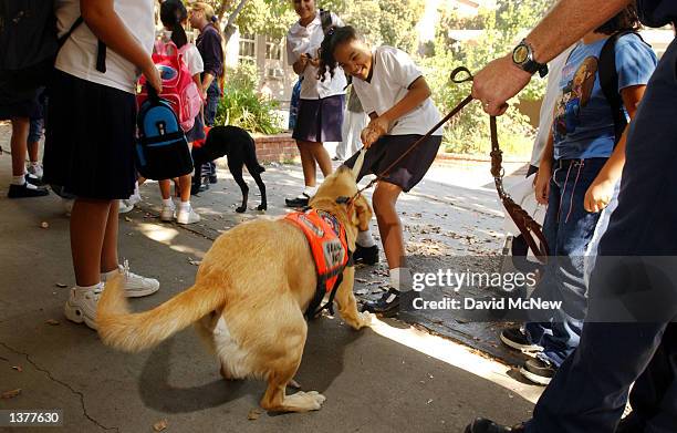 Student plays tug-of-war with Val, a search dog trained by the National Disaster Search Dog Foundation and deployed to seek survivors in the...