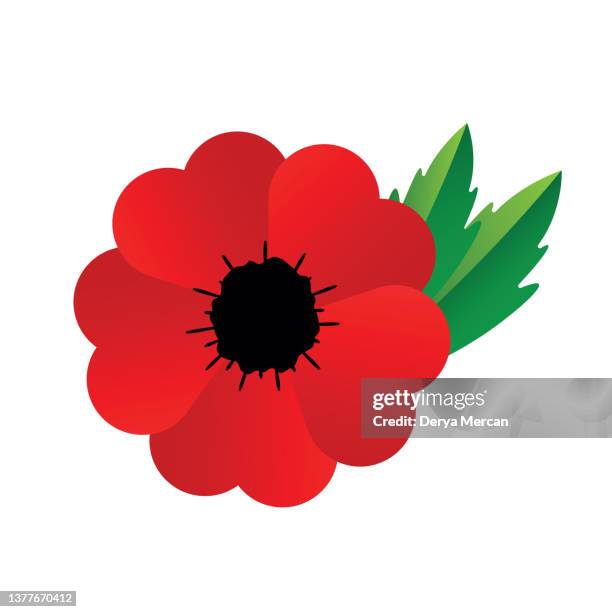 remembrance day auch bekannt als poppy day oder armistice day: minimalistische mohnblume und text lest we forget. vektor-stock-illustration - oriental poppy stock-grafiken, -clipart, -cartoons und -symbole