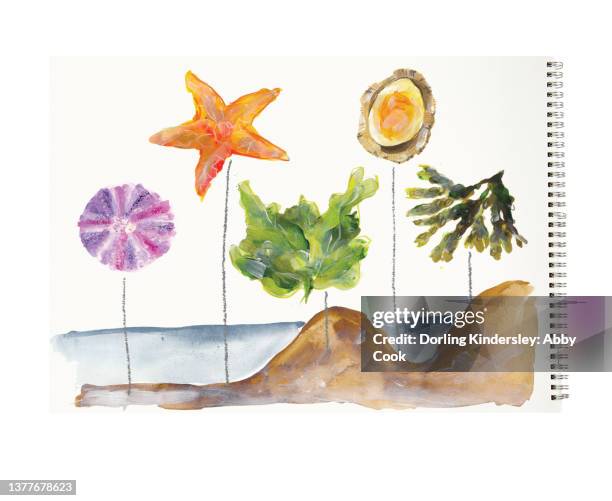 open ring bound sketchbook with blank page, close-up - spiral binding stock illustrations