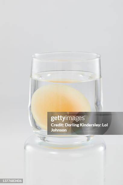 Dissolving Shell Photos and Premium High Res Pictures - Getty Images