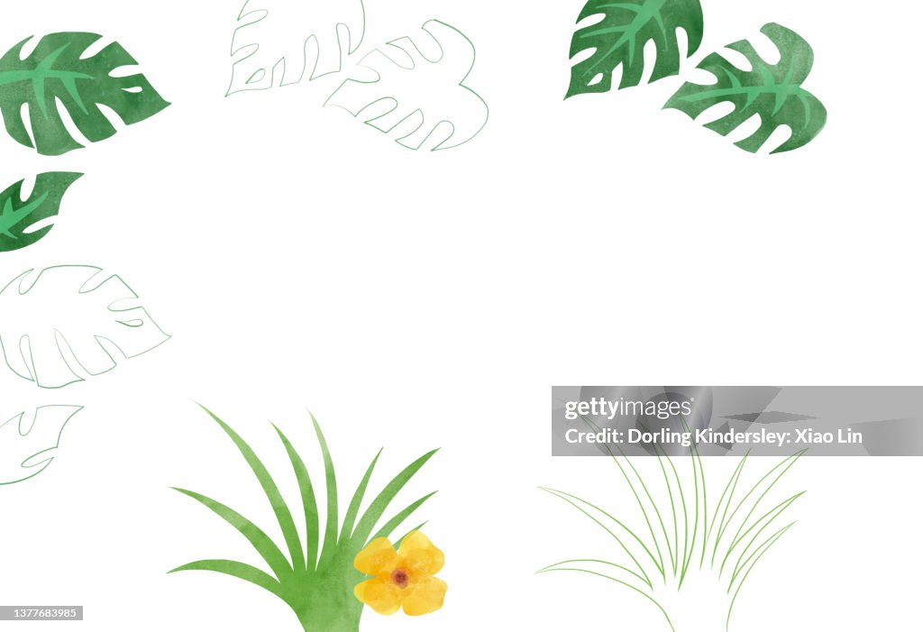 Nature Background
