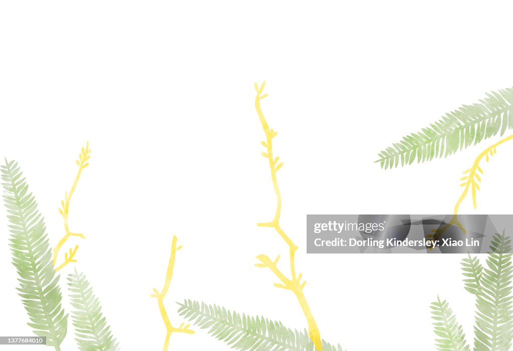 Nature Background