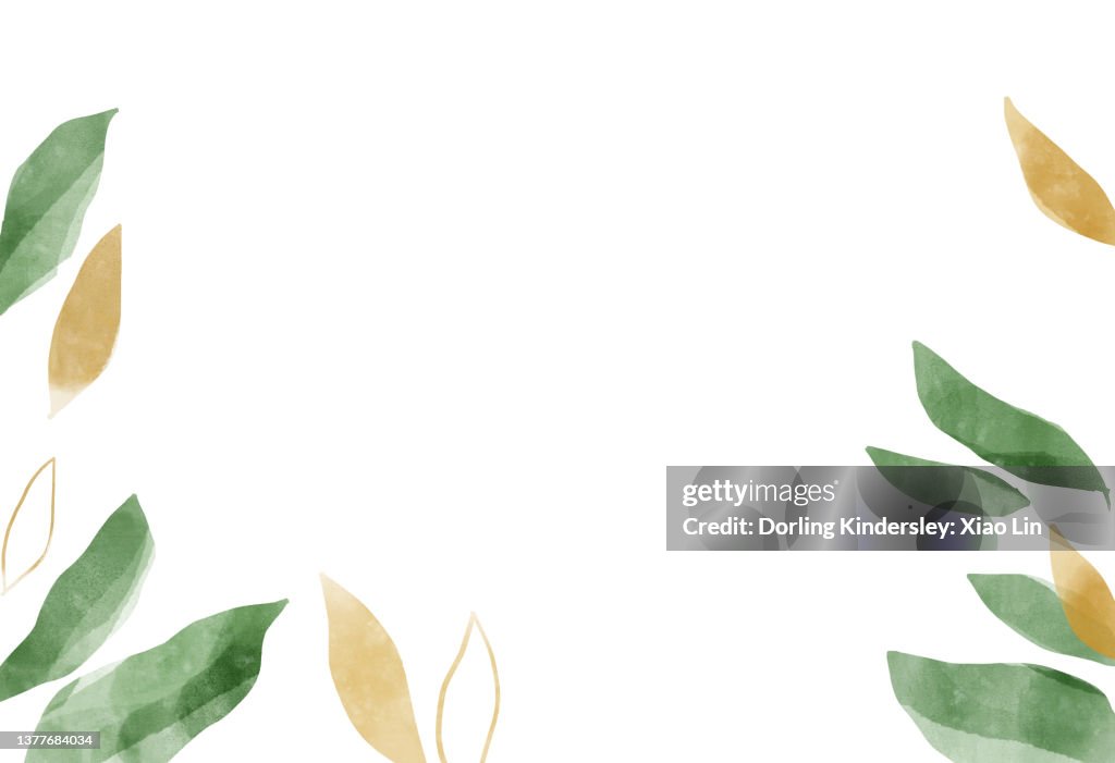 Nature Background