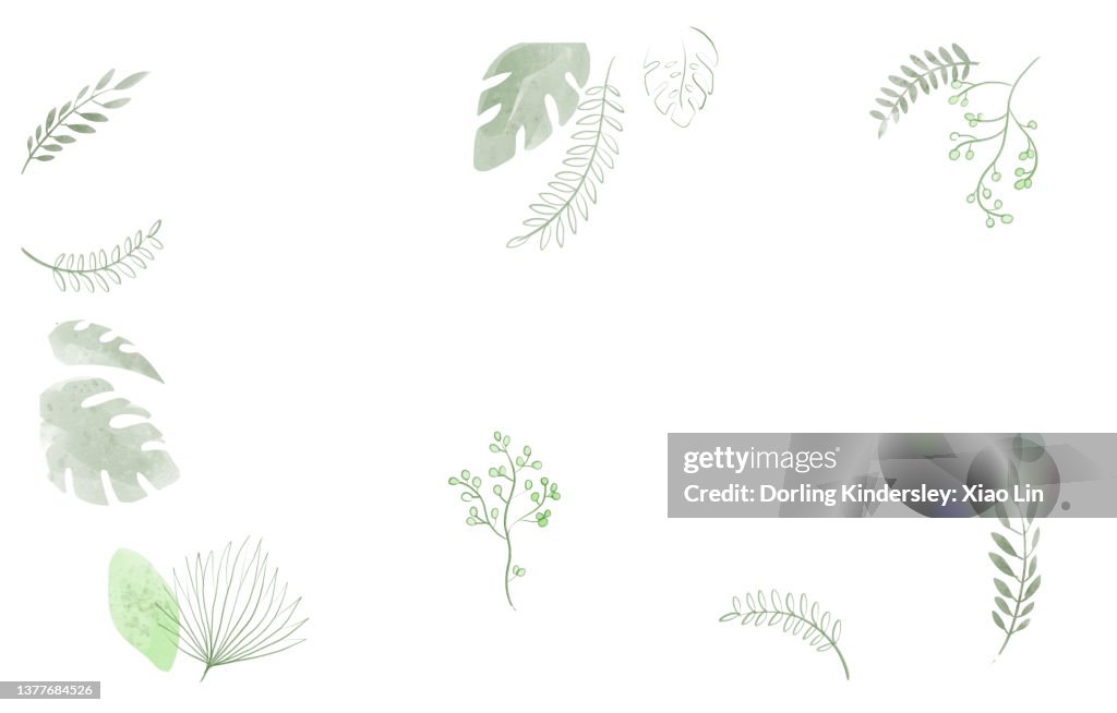 Nature Background