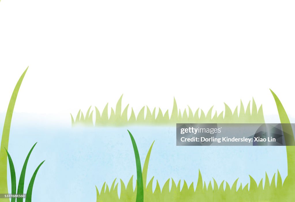 Nature Background