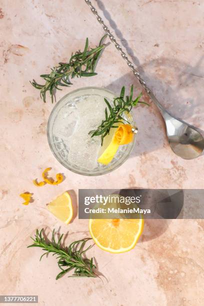 gin tonic alcohol drink cocktail with lemon zest and rosemary - gin and tonic stock pictures, royalty-free photos & images