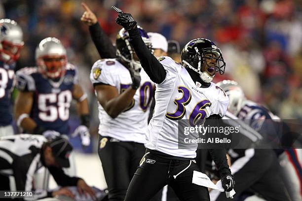 Danny Gorrer of the Baltimore Ravens celebrates after a play against the New England Patriots during their AFC Championship Game at Gillette Stadium...