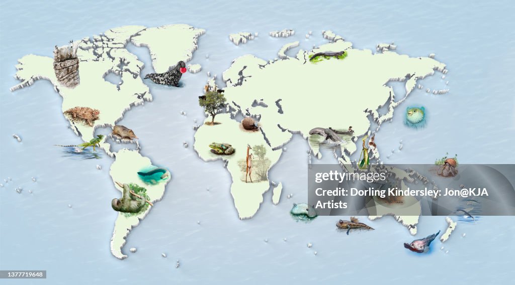 Beastly Behaviour artworks and basemap