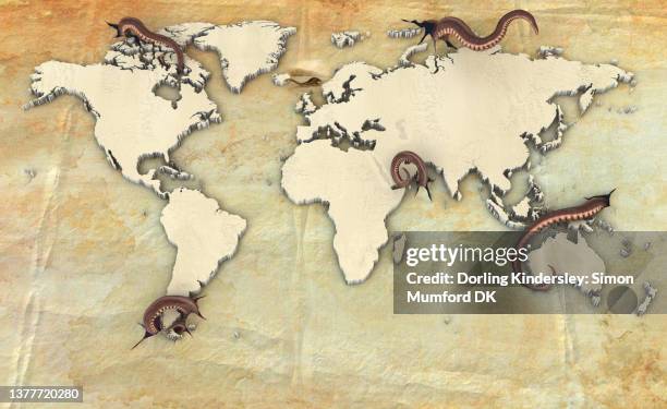 Octopus Map Octopus Map Photos and Premium High Res Pictures - Getty Images