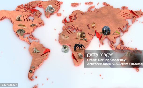 cannibal animals artwork and basemap - bear standing stock illustrations