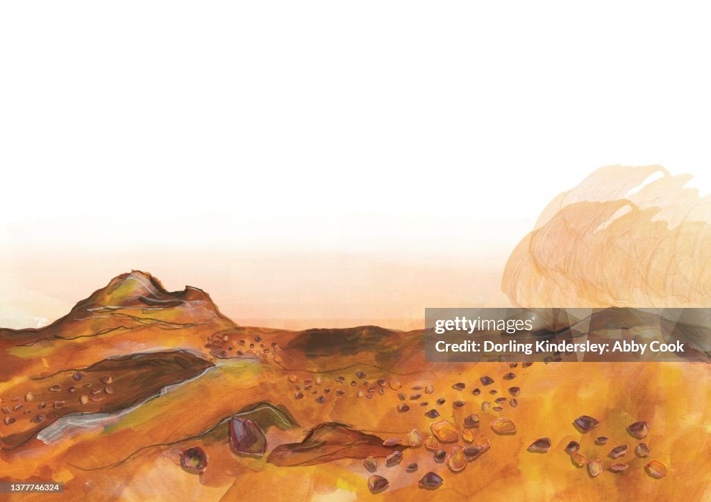The surface of Mars