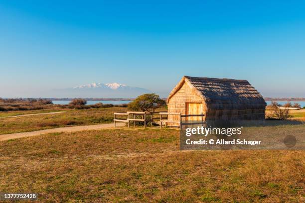 grass fishermen hut in languedoc southwestern france - grashut stockfoto's en -beelden