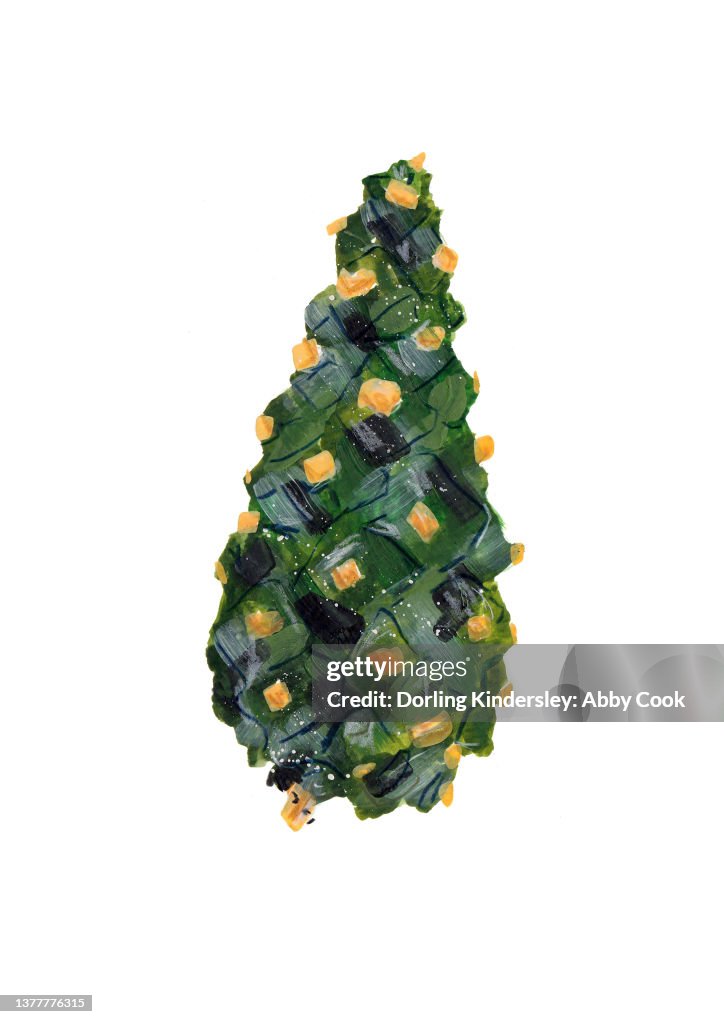 Pine Cone