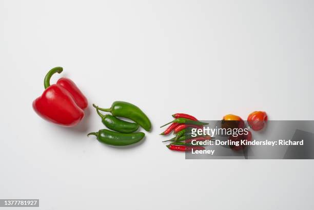 whole chillies laid out from mild to hot; bell pepper, jalapeòos, birds eye chillies, scotch bonnets - bell pepper stock-fotos und bilder