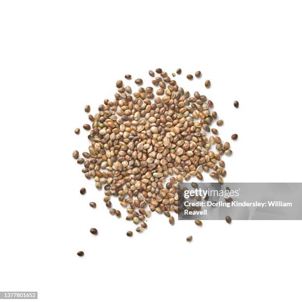 hemp seeds - hemp seed fotografías e imágenes de stock
