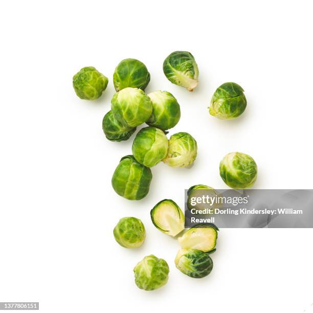 brussels sprout - brussel sprout stock pictures, royalty-free photos & images