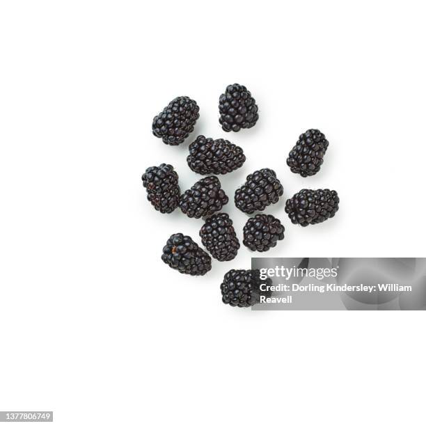 blackberries - blackberry fruit stock pictures, royalty-free photos & images
