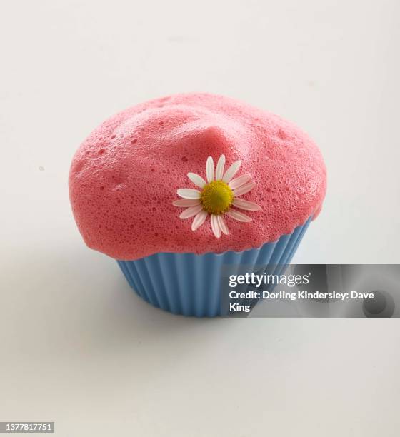 pink foam in colourful muffin baking cup - false daisy stock pictures, royalty-free photos & images