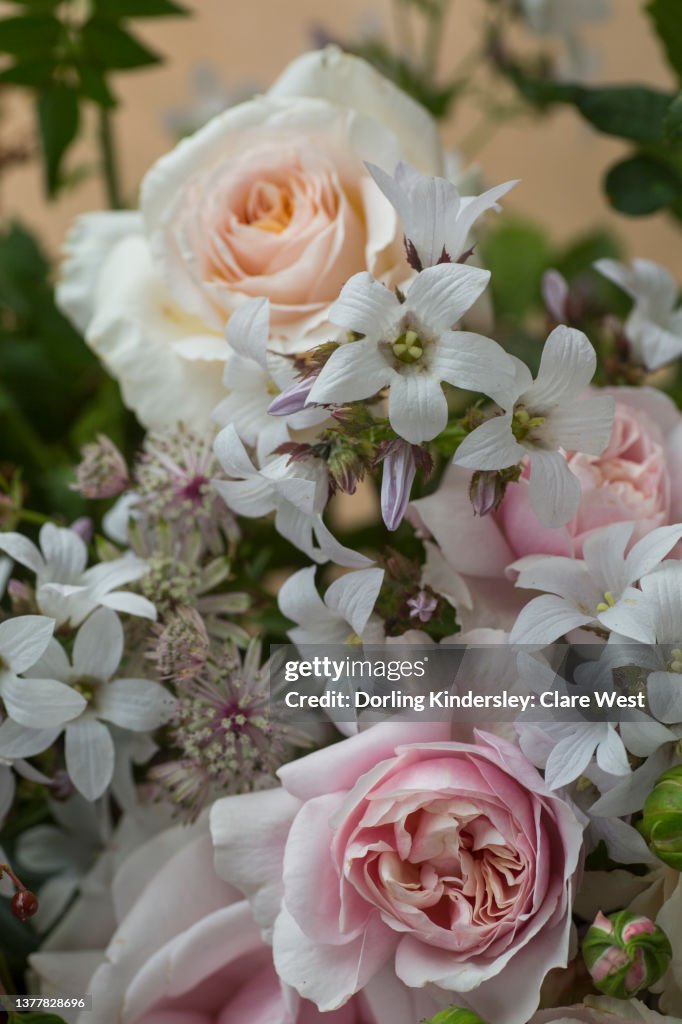 Rose flower arrangement