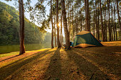 The beautiful scenery of a tent in a pine tree forest at Pang Oung, Mae Hong Son province, Thailand.
