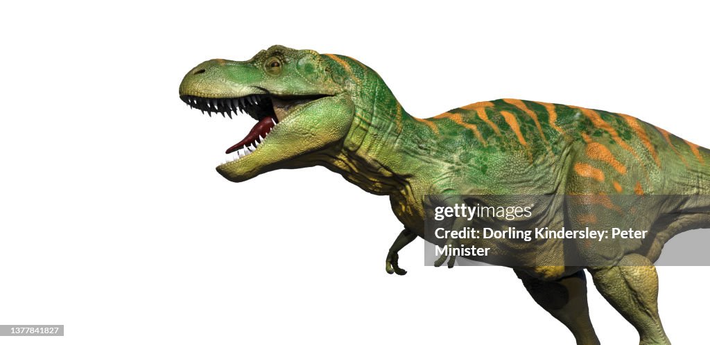 T.Rex