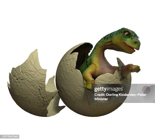 Saltosaurus High-Res Vector Graphic