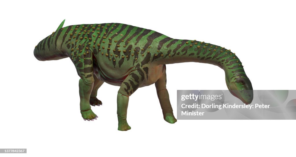 Saltosaurus