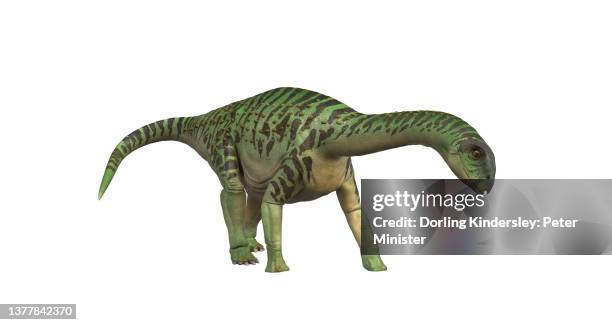 Saltosaurus High-Res Vector Graphic