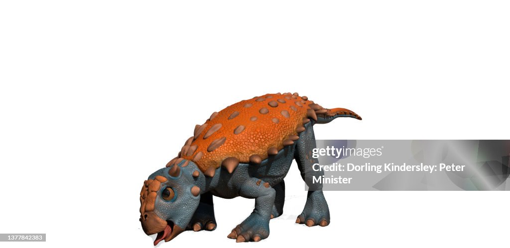 Edmontonia