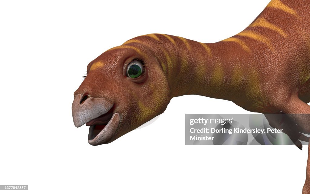 Lleannynasaura