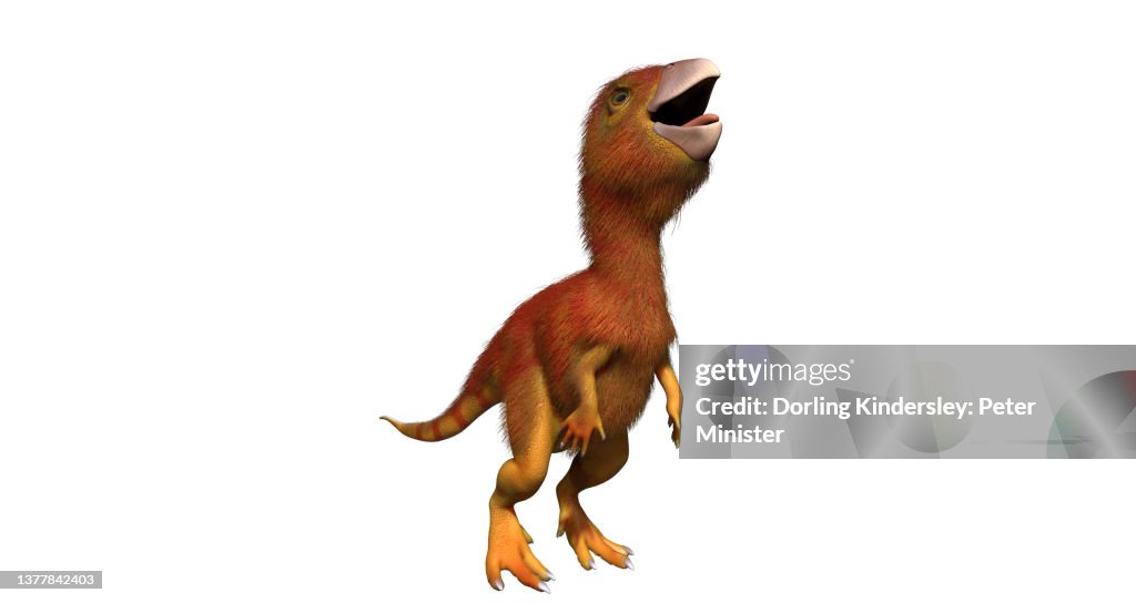 Lleannylasaurus, dinosaur