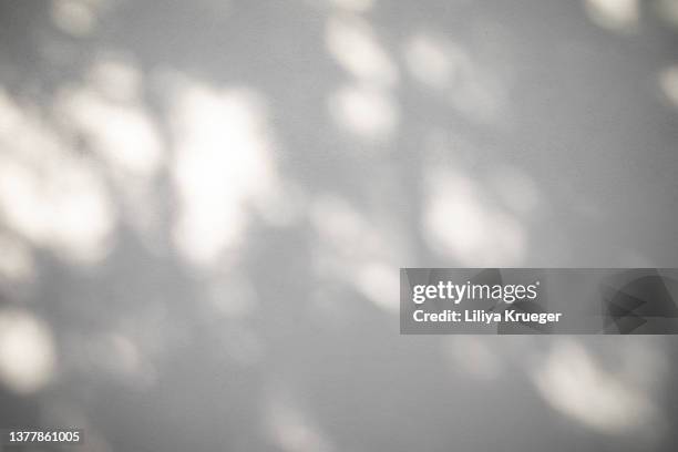 abstract background with shadows of plants. - schattig stock-fotos und bilder
