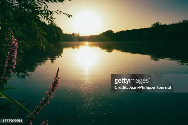 beautiful sunset over a lake near rennes, in brittany, france - ille et vilaine - fotografias e filmes do acervo