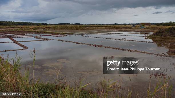 saltwork ponds near guérande in brittany, france - loire atlantique stock pictures, royalty-free photos & images