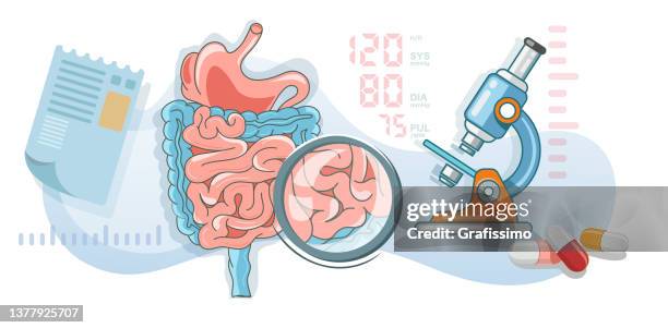 stockillustraties, clipart, cartoons en iconen met flat vector illustration microscope examining stomach and intestine - flat stomach