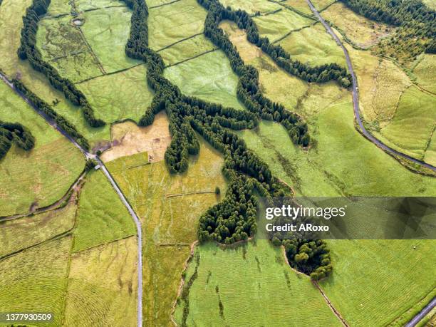 drone point of view. aerial view of abstract photography. landscape with beautiful textures in the background. - ponta delgada stock pictures, royalty-free photos & images