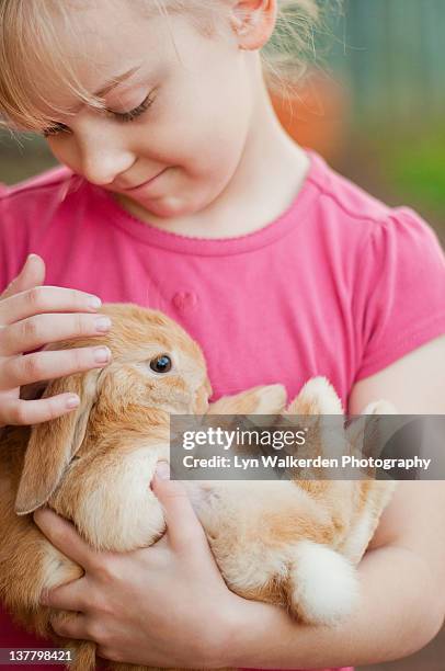 Cuddly Rabbit Jpg 21 Cuddly Bunny Stock Photos, High-Res Pictures, and Images - Getty Images