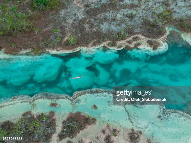 aerial view of  woman swimming in bacalar lagoon in mexico - lagoon stock pictures, royalty-free photos & images
