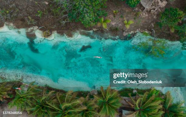 aerial view of  woman swimming in bacalar lagoon in mexico - 金塔納羅奧州 個照片及圖片檔