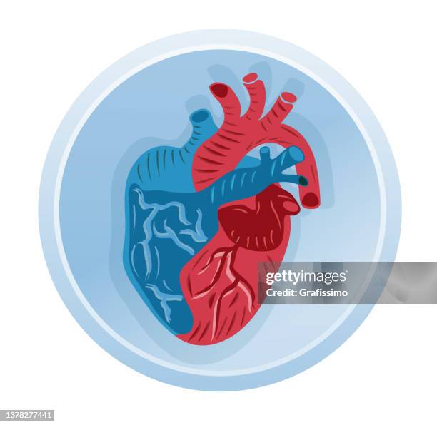 stockillustraties, clipart, cartoons en iconen met flat vector illustration human organ heart - angina